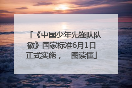《中国少年先锋队队徽》国家标准6月1日正式实施，一图读懂