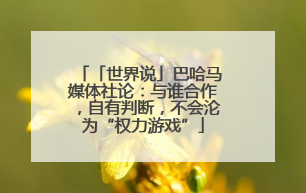 「世界说」巴哈马媒体社论：与谁合作，自有判断，不会沦为“权力游戏”