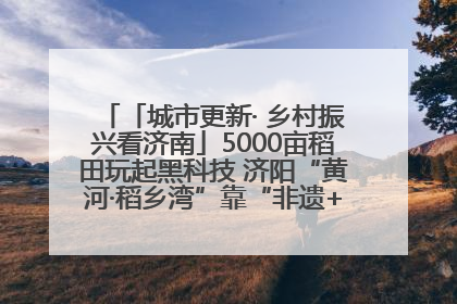 「城市更新· 乡村振兴看济南」5000亩稻田玩起黑科技 济阳“黄河·稻乡湾”靠“非遗+露营”火出圈