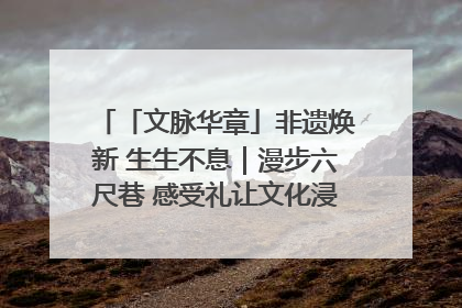 「文脉华章」非遗焕新 生生不息｜漫步六尺巷 感受礼让文化浸润的“巷”往生活