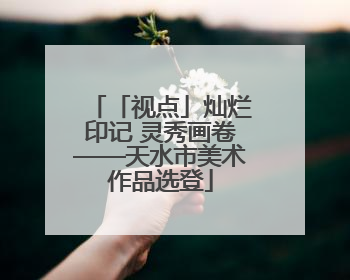「视点」灿烂印记 灵秀画卷——天水市美术作品选登