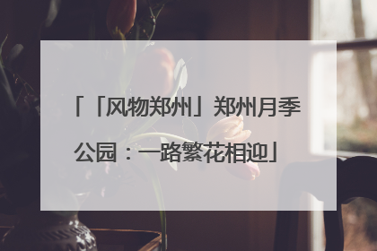「风物郑州」郑州月季公园：一路繁花相迎