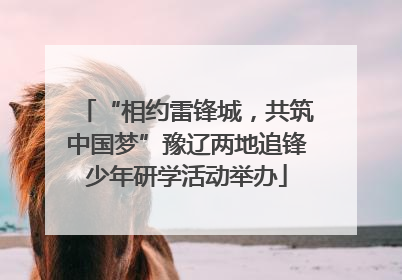 “相约雷锋城，共筑中国梦”豫辽两地追锋少年研学活动举办