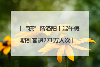 “粽”情洛阳丨端午假期引客超271万人次