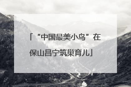 “中国最美小鸟”在保山昌宁筑巢育儿