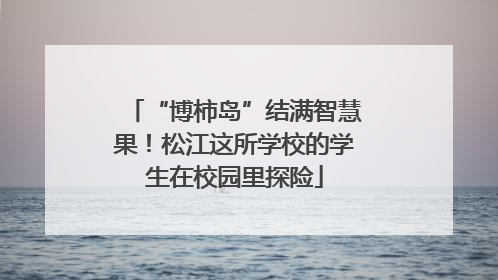 “博柿岛”结满智慧果！松江这所学校的学生在校园里探险