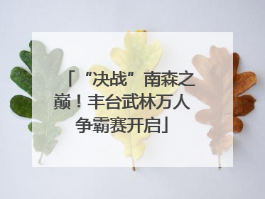 “决战”南森之巅！丰台武林万人争霸赛开启