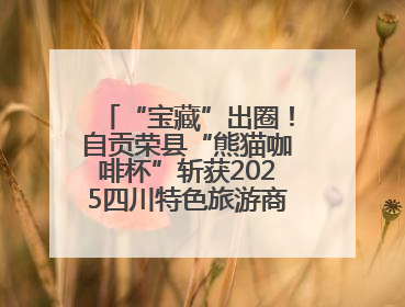 “宝藏”出圈！自贡荣县“熊猫咖啡杯”斩获2025四川特色旅游商品大赛铜奖