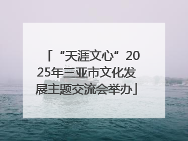 “天涯文心”2025年三亚市文化发展主题交流会举办