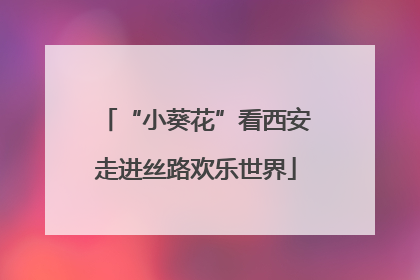 “小葵花”看西安走进丝路欢乐世界