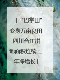 “巴掌田”变身万亩良田 四川合江耕地面积连续三年净增长