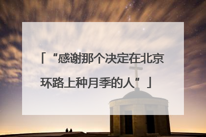 “感谢那个决定在北京环路上种月季的人”