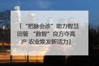 “把脉会诊”助力智慧田管 “数智”良方夺高产 农业焕发新活力