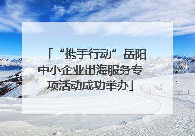 “携手行动”岳阳中小企业出海服务专项活动成功举办