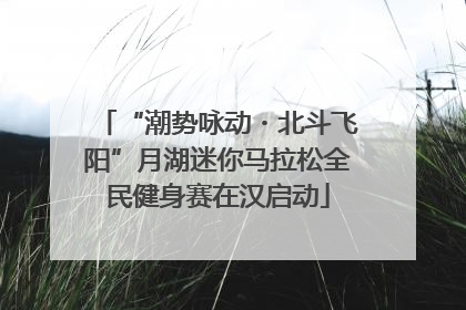 “潮势咏动・北斗飞阳”月湖迷你马拉松全民健身赛在汉启动