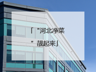 “河北净菜”靓起来