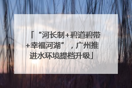 “河长制+碧道碧带+幸福河湖”，广州推进水环境提档升级