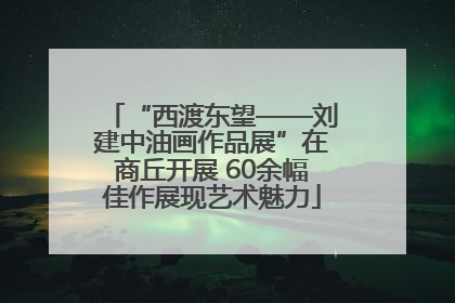 “西渡东望——刘建中油画作品展”在商丘开展 60余幅佳作展现艺术魅力