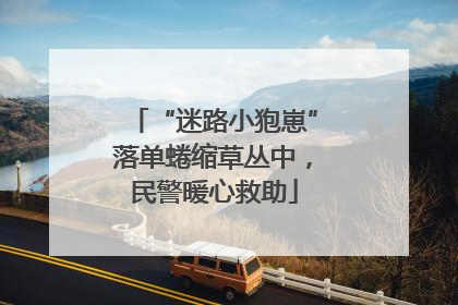 “迷路小狍崽”落单蜷缩草丛中，民警暖心救助