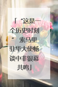 “这是一个历史时刻” 索马里驻华大使畅谈中非银幕共鸣