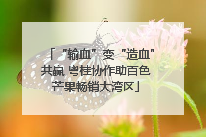 “输血”变“造血”共赢 粤桂协作助百色芒果畅销大湾区