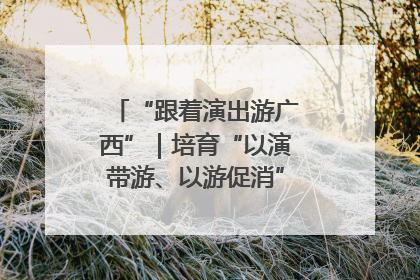“跟着演出游广西”｜培育“以演带游、以游促消”文旅消费新生态