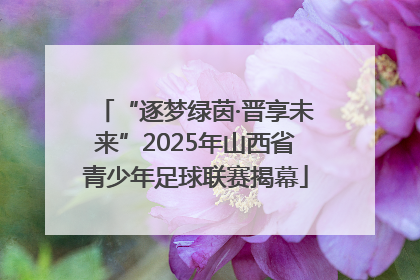 “逐梦绿茵·晋享未来”2025年山西省青少年足球联赛揭幕