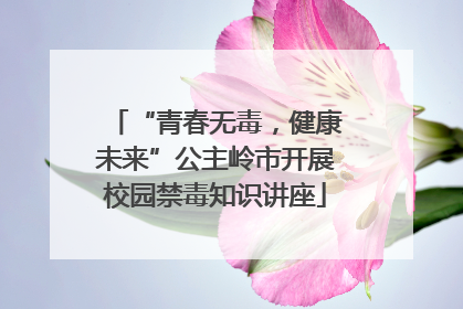 “青春无毒，健康未来”公主岭市开展校园禁毒知识讲座