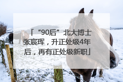 “90后”北大博士张宸珲，升正处级4年后，再有正处级新职