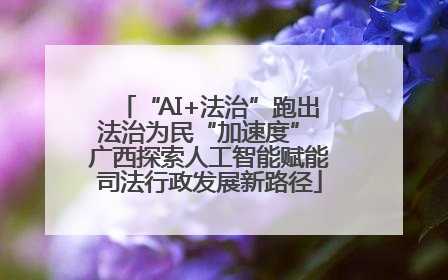 “AI+法治”跑出法治为民“加速度” 广西探索人工智能赋能司法行政发展新路径