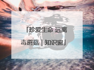 珍爱生命 远离毒蘑菇｜知识窗