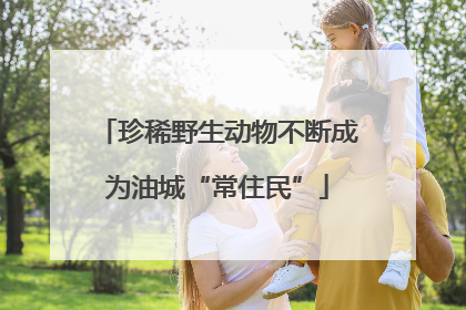 珍稀野生动物不断成为油城“常住民”