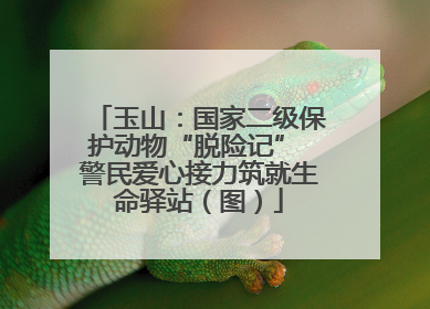 玉山：国家二级保护动物“脱险记” 警民爱心接力筑就生命驿站（图）