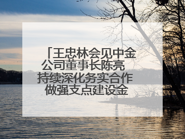 王忠林会见中金公司董事长陈亮 持续深化务实合作 做强支点建设金融支撑