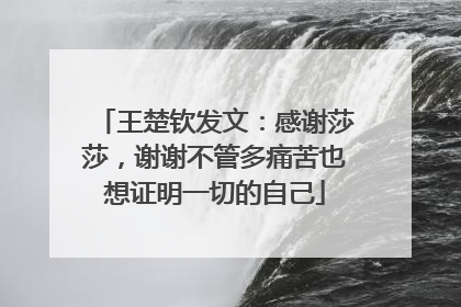 王楚钦发文：感谢莎莎，谢谢不管多痛苦也想证明一切的自己