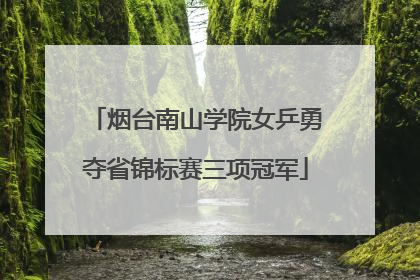 烟台南山学院女乒勇夺省锦标赛三项冠军