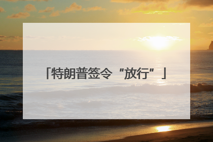 特朗普签令“放行”