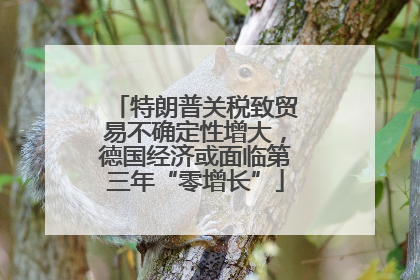 特朗普关税致贸易不确定性增大，德国经济或面临第三年“零增长”
