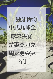 独牙传奇中式九球全球总决赛 楚秉杰力克周龙勇夺冠军