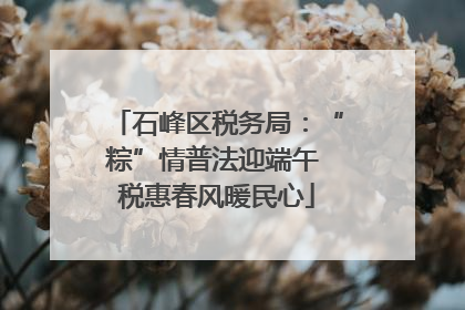 石峰区税务局：“粽”情普法迎端午 税惠春风暖民心