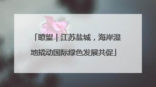 瞭望｜江苏盐城，海岸湿地撬动国际绿色发展共促