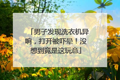 男子发现洗衣机异响，打开被吓晕！没想到竟是这玩意