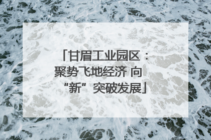 甘眉工业园区：聚势飞地经济 向“新”突破发展