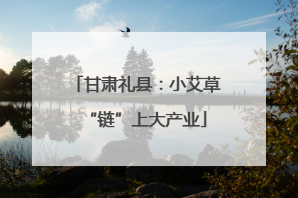 甘肃礼县：小艾草“链”上大产业