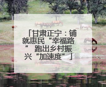 甘肃正宁：铺就惠民“幸福路” 跑出乡村振兴“加速度”