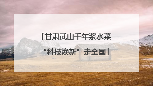 甘肃武山千年浆水菜“科技焕新”走全国