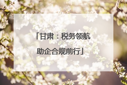 甘肃：税务领航 助企合规前行