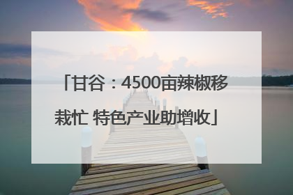 甘谷：4500亩辣椒移栽忙 特色产业助增收