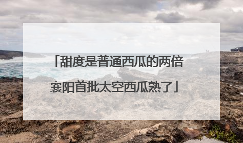 甜度是普通西瓜的两倍 襄阳首批太空西瓜熟了