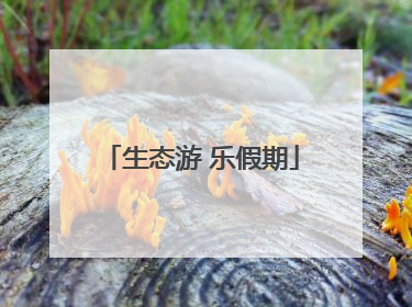 生态游 乐假期